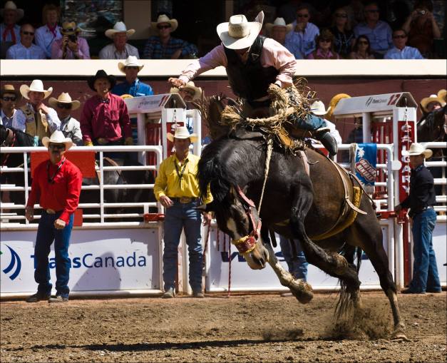 rodeo-finals-08332